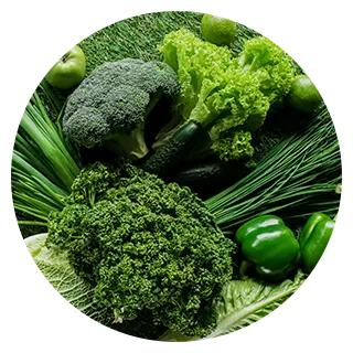 La densite en micronutriments est importante